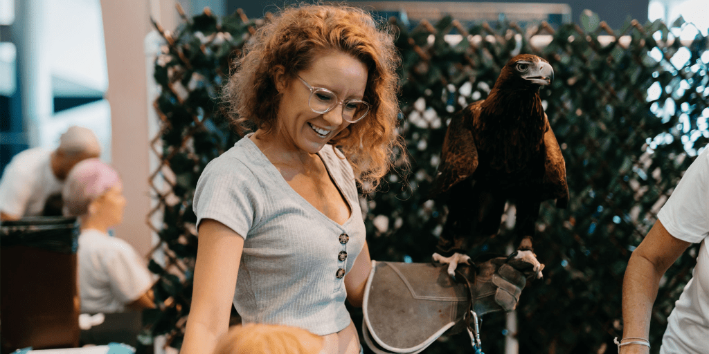 Australian Birds of Prey Display