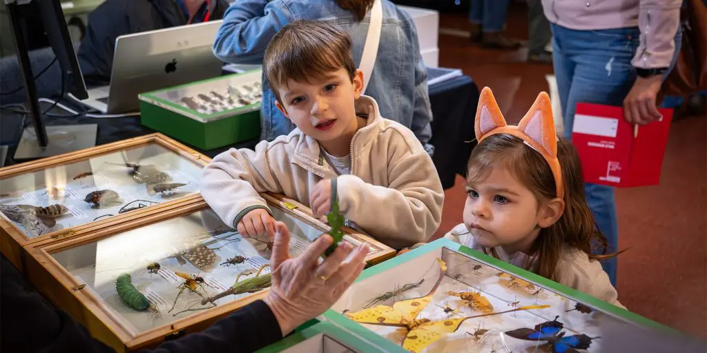 Entomology with Queensland Museum Scientists