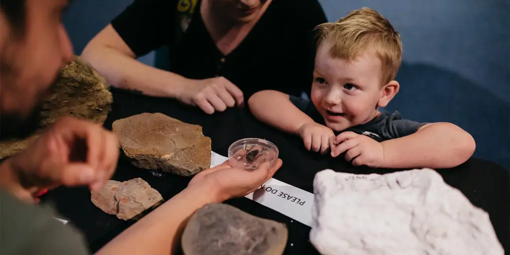 Fossils with Queensland Museum Scientists