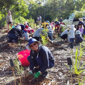 Bulimba Creek Catchment – World Science Festival Brisbane