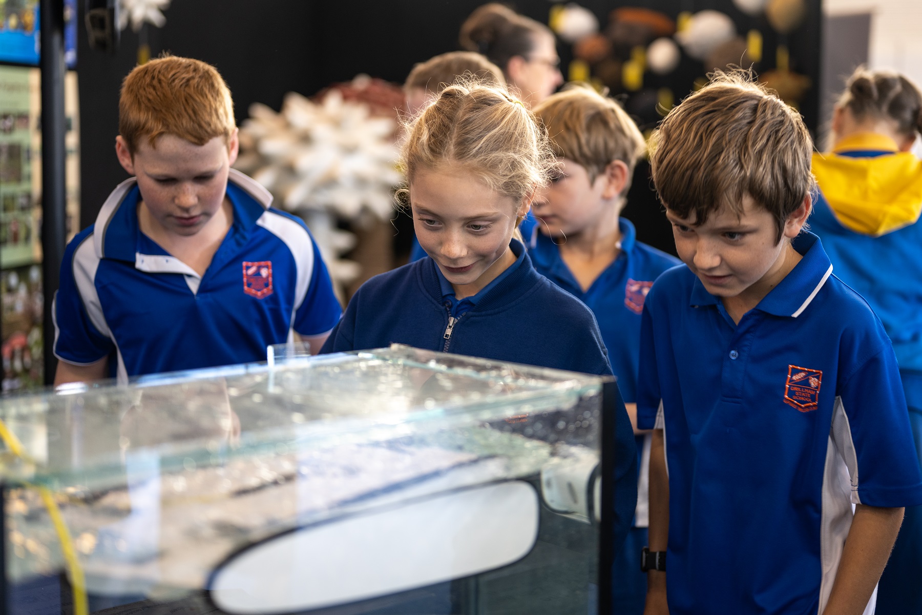 2025 World Science Festival Brisbane School Program