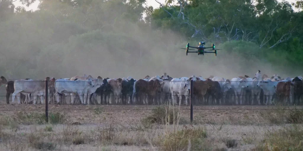 SkyKelpie Live Demonstration