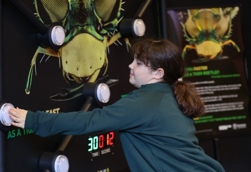Shell's QGC business: Batack reaction time game