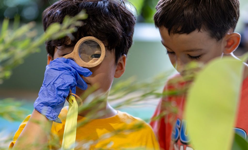 Citizen Science Fair