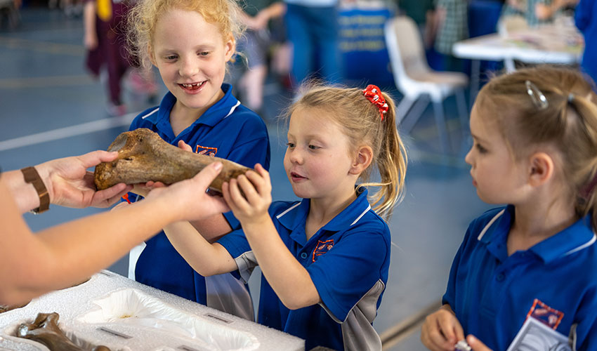 WSFQ Chinchilla: Student Day