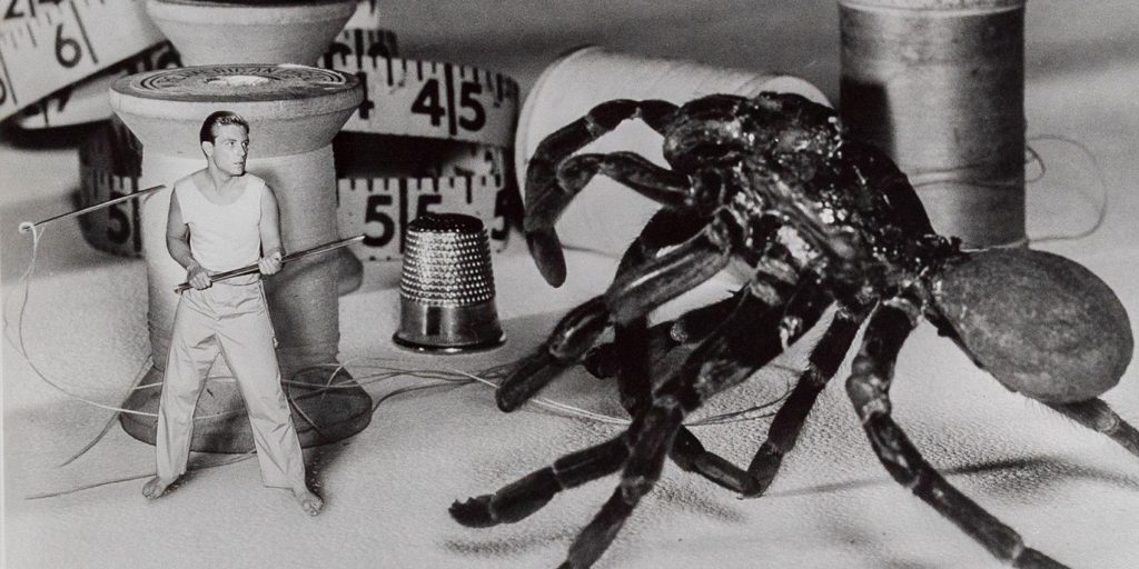 GOMA Film Series: The Incredible Shrinking Man